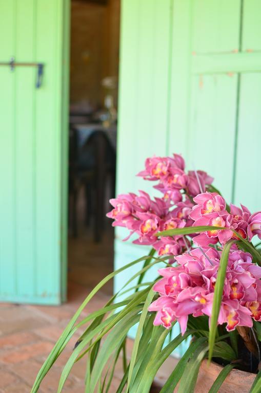 Cafezal Em Flor Turismo E Cafes Especiais Hotel Монте Алегре до Сул Екстериор снимка