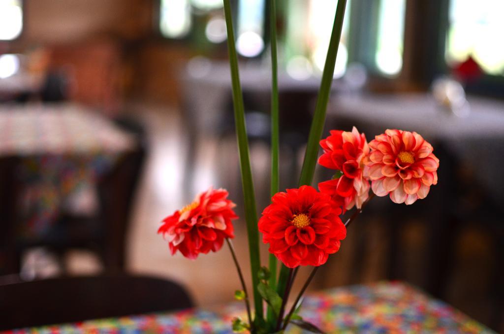 Cafezal Em Flor Turismo E Cafes Especiais Hotel Монте Алегре до Сул Екстериор снимка
